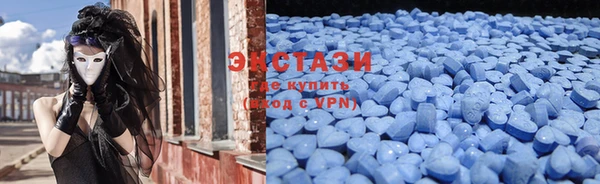 гашик Пересвет